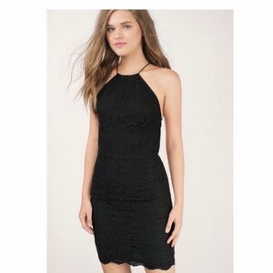Tobi Black Lace Backless Halter Bodycon Dress